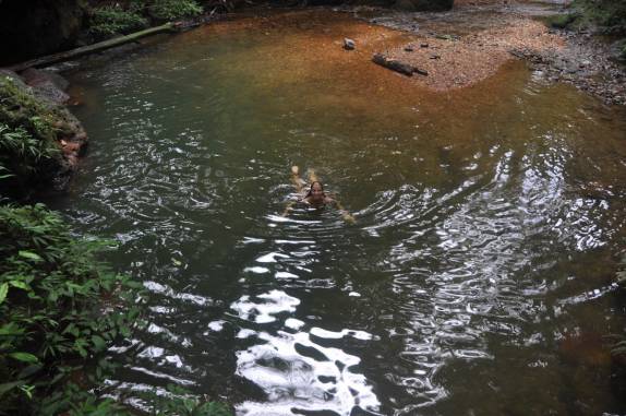 Delicioso banho no Witti Creek, na Reserva Natural de Brownsberg, no Suriname
